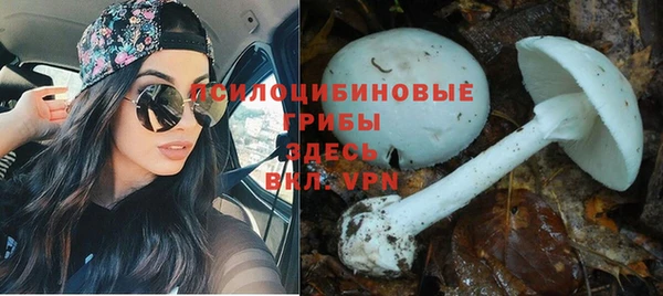 марки nbome Михайлов