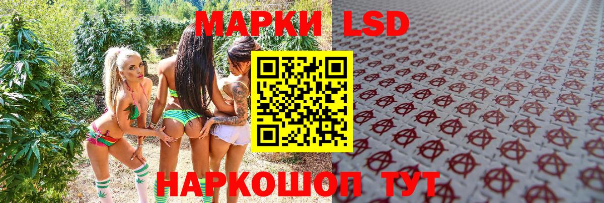 Наркотические марки 1,5мг  Вход с VPN  Мурино 