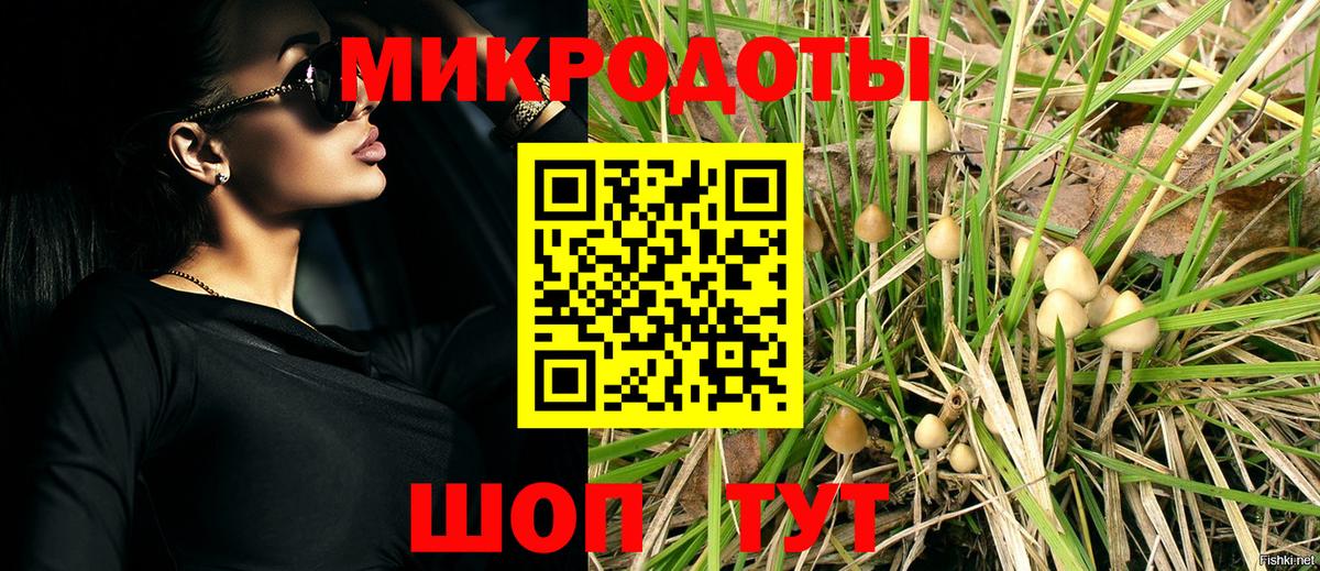 Галлюциногенные грибы MAGIC MUSHROOMS Мурино