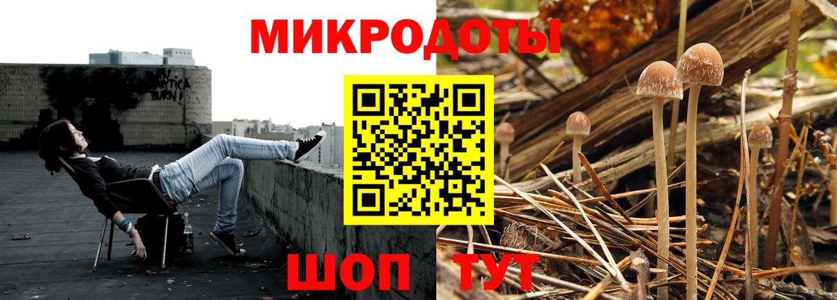 Мурино  Псилоцибиновые грибы Psilocybine cubensis  наркота  Вход с VPN 